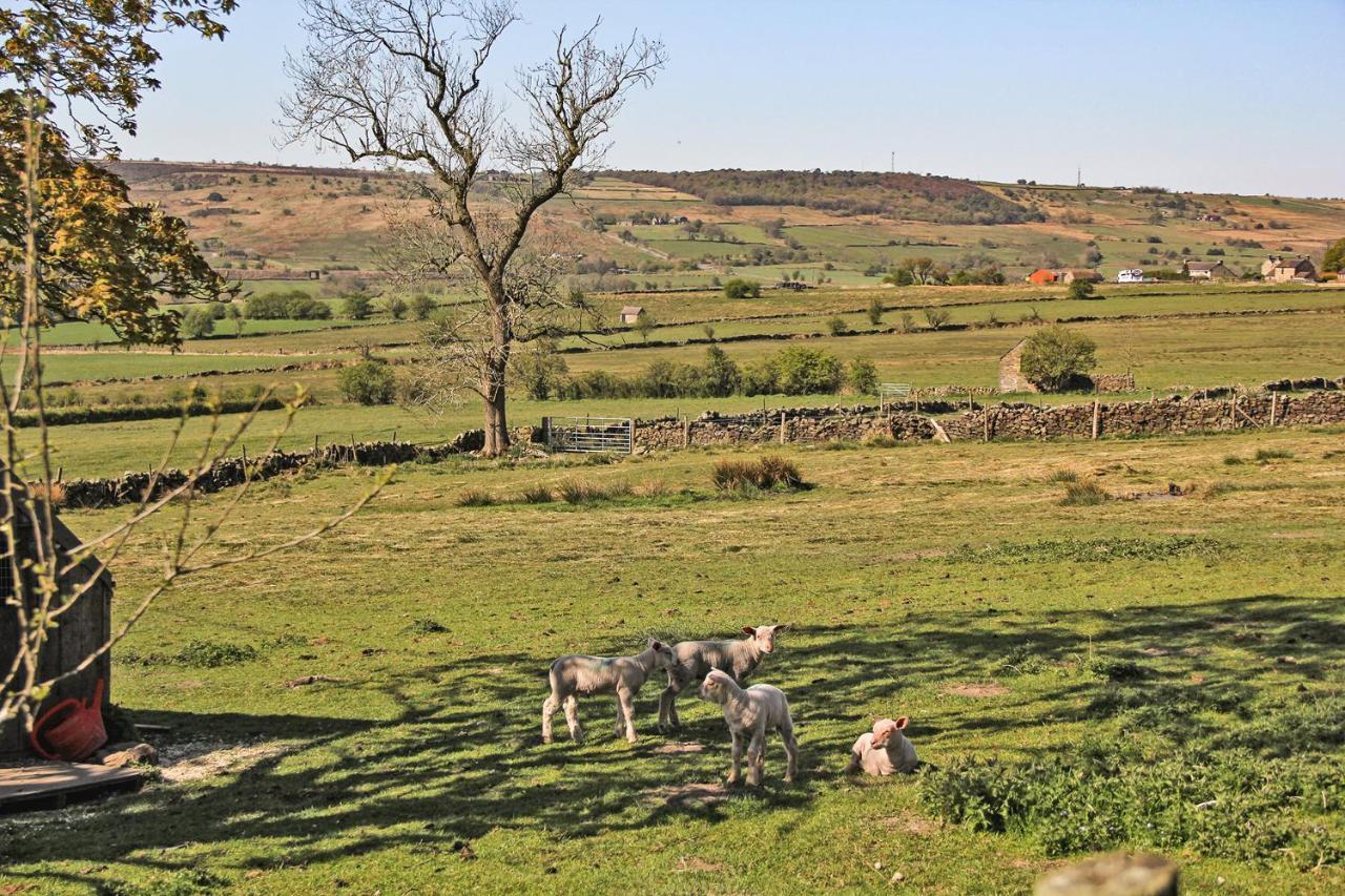 Moorland View Farm B&B Oakamoor Екстер'єр фото